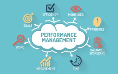 Developing a Performance Management System to Maximize Big Data Analytics Implementation