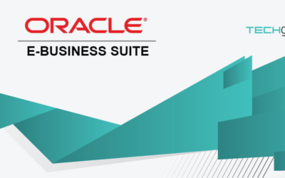 Enterprise Solutions: Oracle E-Business Suite